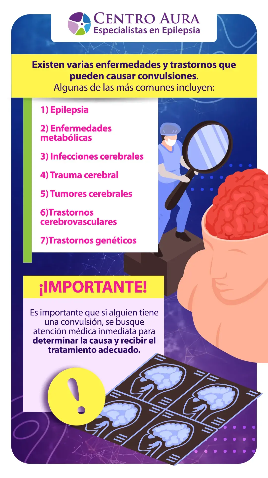 Existen una gran variedad de enfermedades que causan convulsiones