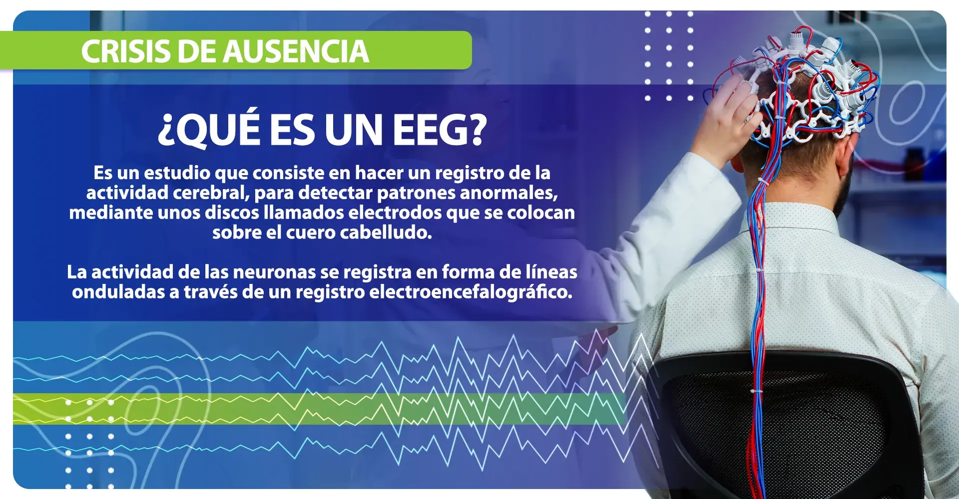 EGG y las crisis de ausencia